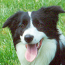 Destiny was adopted in May, 2003